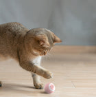 Pelota Móvil Automática para Gatos