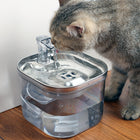 Fuente Automática de Acero Inoxidable para Mascotas
